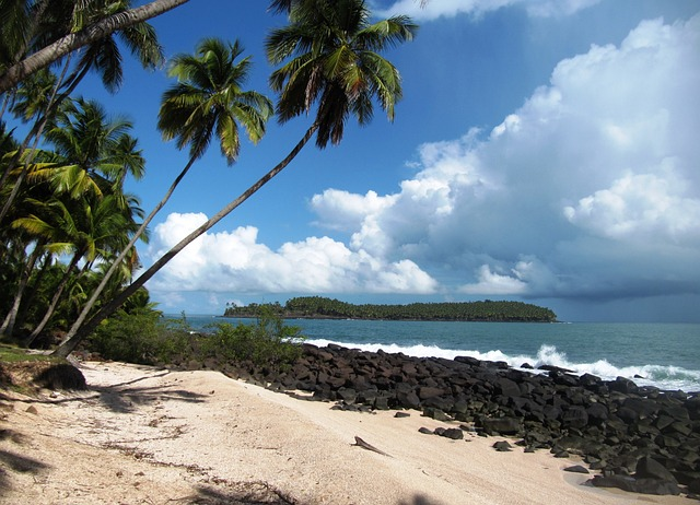 Quelques conseils pour profiter d’un bon séjour en Guyane