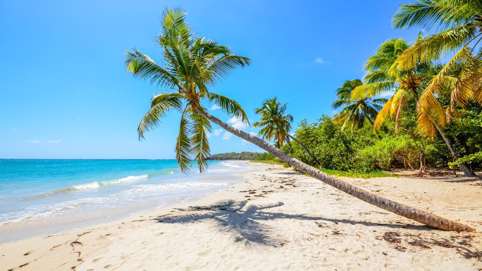 A la découverte de Fort-de-France pour les vacances